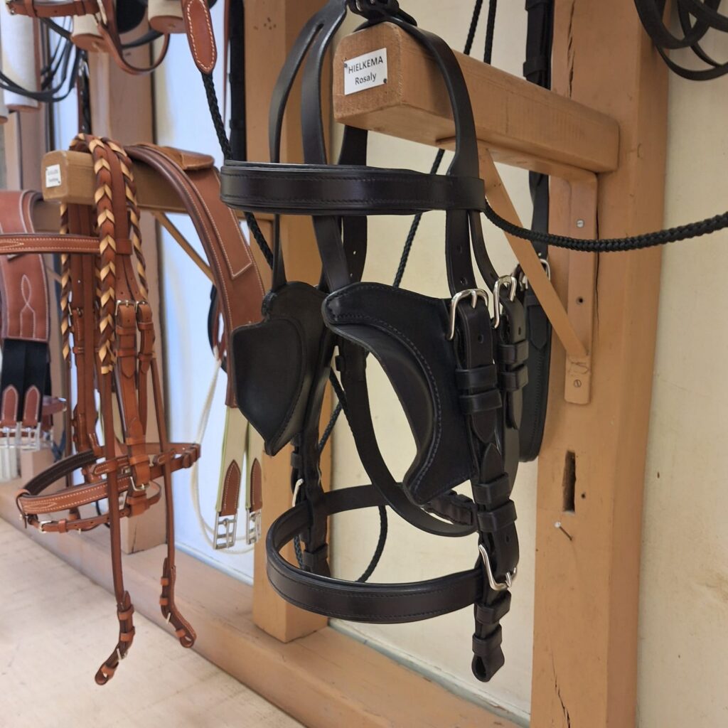 photo 2025 04 25 10 27 09