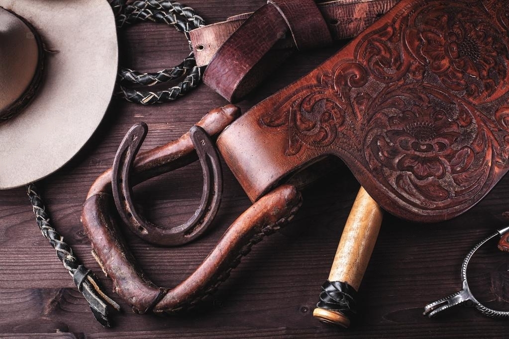 depositphotos 25212385 stock photo clothes and accessories for horse transformed